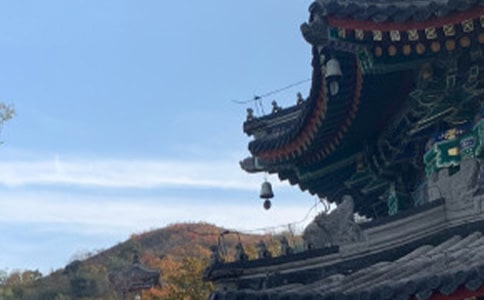 《上下五千年》的讀后感作文300字