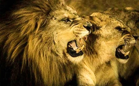 ����ֻС�{�ӡ��̌W(xu��)�O(sh��)Ӌʮ