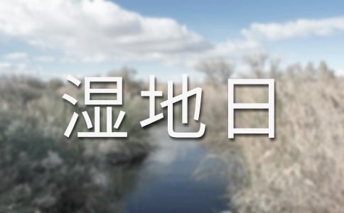 世界濕地日宣傳活動總結(jié)(通用5篇)