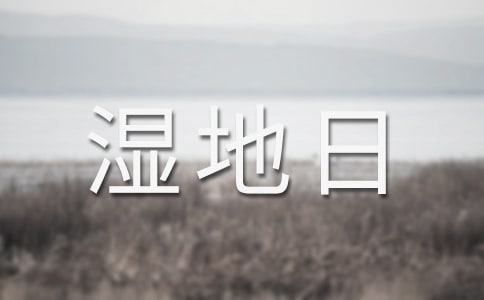 世界濕地日宣傳活動(dòng)總結(jié)