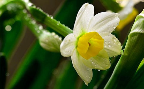 һ�wˮ�ɵĈ�(ji��n)������