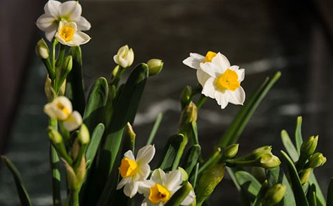 ˮ�ɵ�.����600��