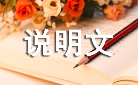 她給了我自信-六年級(jí)-說(shuō)明文