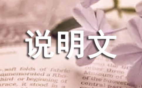 說明文做題方法總結(jié)