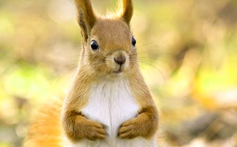 �P(gu��n)�ڡ����󡷽̰��O(sh��)Ӌ(j��)