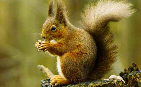 �����󡷽̌W(xu��)�O(sh��)Ӌ(j��)��(y��u)�㷶��