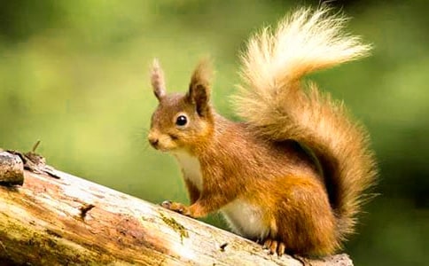 �n��С�����һ����ă�(y��u)��̌W(xu��)�O(sh��)Ӌ(j��)