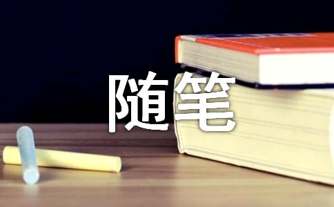 【實用】隨筆作文300字3篇
