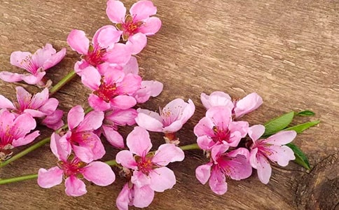 �������һ��̌W(xu��)�O(sh��)Ӌ(j��)