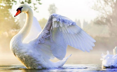 �����Z�����r�����~���̌W�O(sh��)Ӌ5ƪ