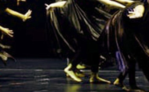 精選跳舞作文300字(通用22篇)