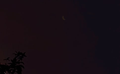 �����T��2021�ꃞ(y��u)�����������Z����Ȧ45�l