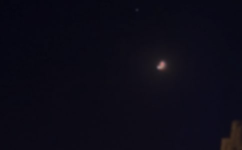 2022��Ψ�����������Z����Ȧժ�62��