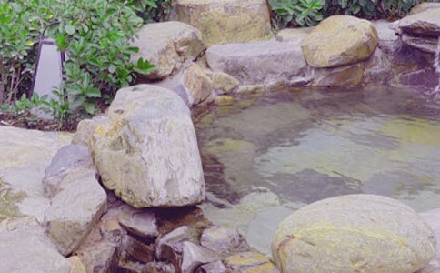 游天賜溫泉初一作文