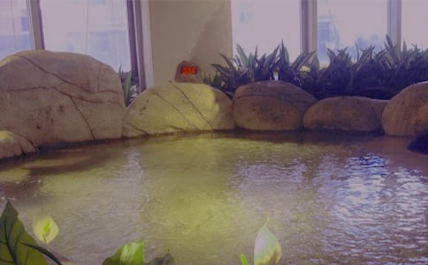 溫泉的作文300字