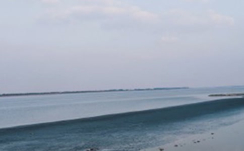 我們看海去的敘事作文