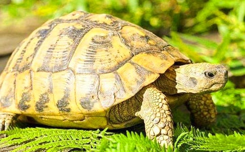 ���᡿�����^����ӛ