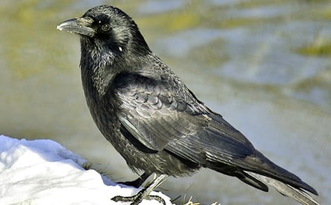 ���f��ˮ�̌W(xu��)�O(sh��)Ӌ(j��)���ģ����x5ƪ��