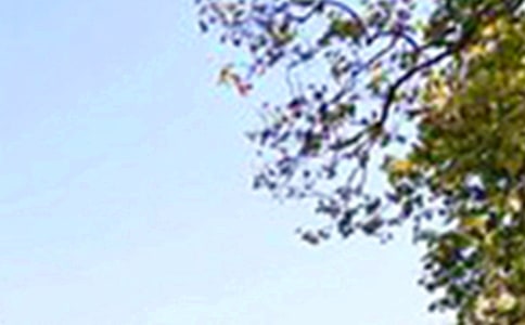 ��(j��ng)�������簲���Z(y��)�R����ͨ��80�䣩