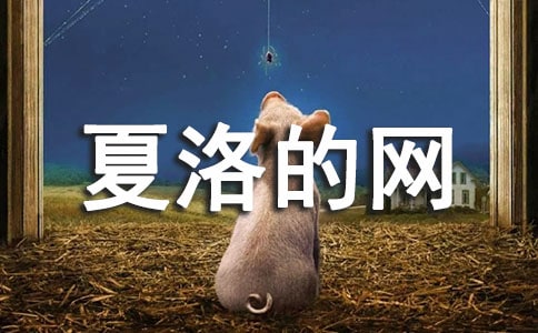 ����ľW(w��ng)�����x���900������