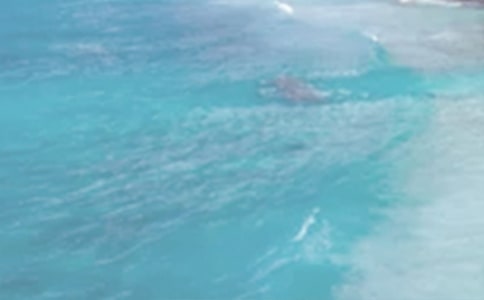 �����ן�ľ��ӣ����x240�䣩