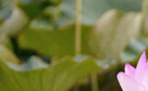 ������ף�����Z���p��x