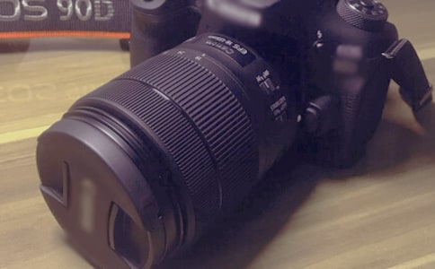 一只數(shù)碼照相機(jī)500字作文