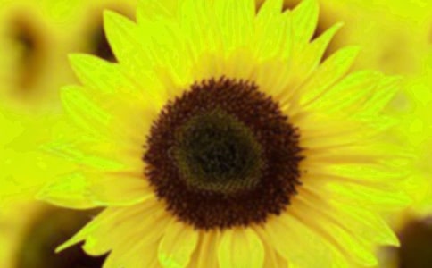 ���տ��ĉ�(m��ng)��800������