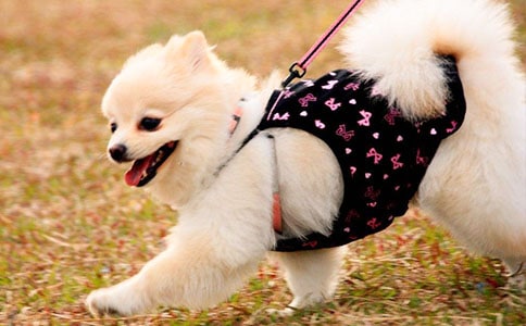 �ҵ�С��100������