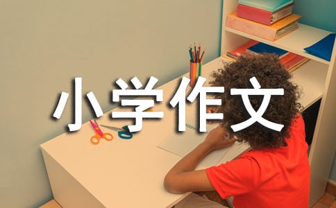 關(guān)于小學(xué)的小學(xué)作文700字匯總9篇