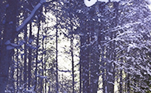 Сѩ��⺆(ji��n)�̆����Z