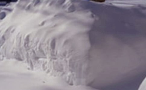 ������ѩ��(z��i)����(y��ng)���A(y��)����ͨ��16ƪ��