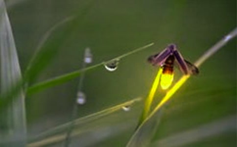 ��С�r(sh��)���Ȥ��ץΞ���xС�W(xu��)���꼉(j��)����