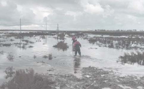 �ҵ������ҵļҐۍ����I(y��)����