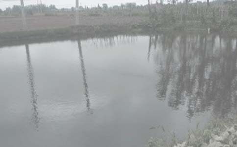 �r(n��ng)��а��~����ͬ14ƪ