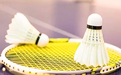 羽毛球比賽活動總結(jié)范文(精選10篇)