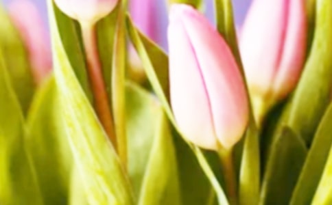 �������c�ջ���ӛ����