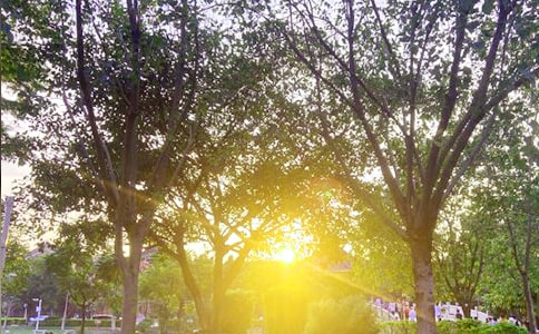 �P(gu��n)���m�ϰl(f��)����Ȧ�簲�ľ��� ��(l��)־�簲Ŭ���^������