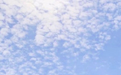 �������簲�����������Ȧժ�51�l