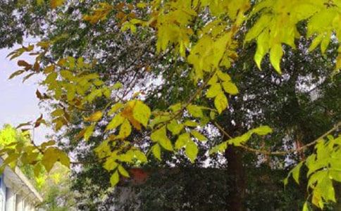 �����á�ף��������簲����Ȧ�����Z�R��37��