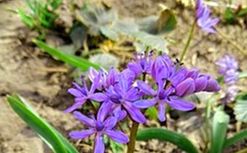 ���x��ů���簲����Ȧ�����Z�R��34�l