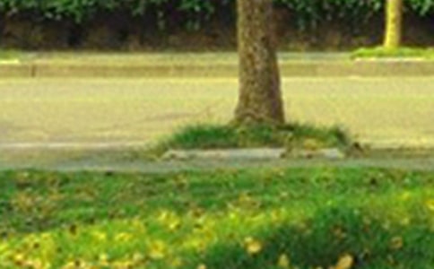 ��(j��ng)�����\��ů���簲���Z����Ȧ���\58��