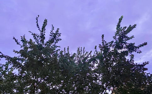 ��(j��ng)������Ȧ�簲�Z(y��)䛅R��50�侫�x