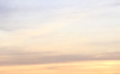 2022�꺆�̵����õ��簲���Z����Ȧ28�l