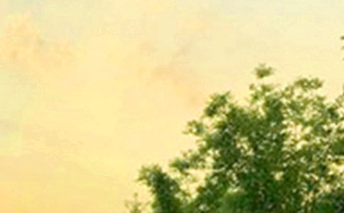 2022���ܰ���簲����Ȧ�����Z�󼯺�61�l