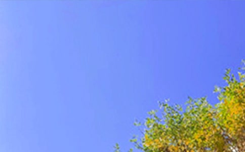 ���x���õ��簲����Ȧ��(w��n)���Z(y��)22�l