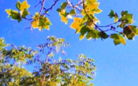 �����T����ܰ���簲����Ȧ�����Z����30�l