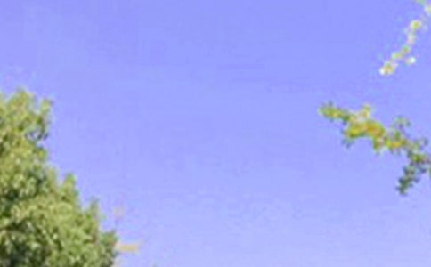 2021���m�Ͻo���ѵ��簲����Ȧ�����Z42��