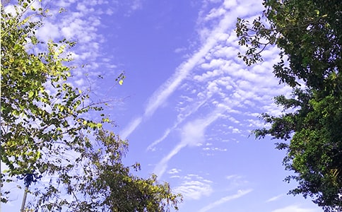 ���؂䡿2024�����õ��簲����Ȧ�����Z130��