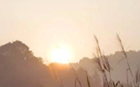 ���̵�Ψ�����簲���Z����Ȧ�ϼ�31��